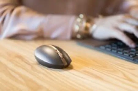 HP Spectre Rechargeable Mouse 700 - 3NZ71AA