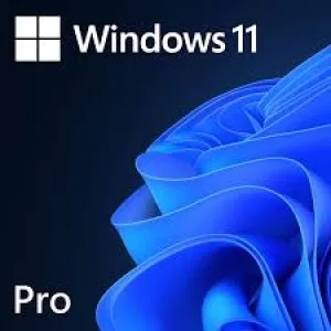 Microsoft Windows 11 Professional 64 bit OEM