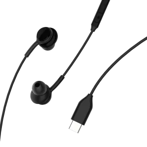 Platinum Type C Wired Metal Earphone-P-EPHVTTCBK